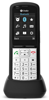 OpenScape DECT Phone R6