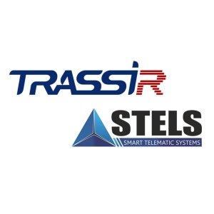 DSSL TRASSIR Stemax