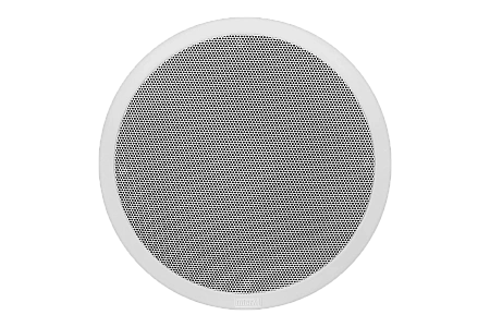 IP потолочный громкоговоритель IP-1015CS(W)